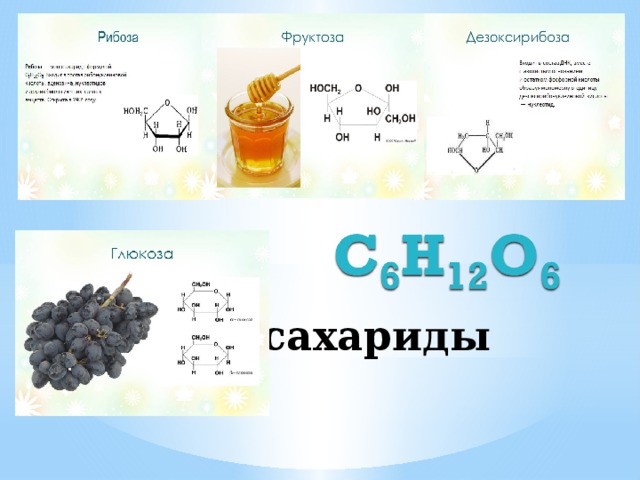 Рибоза дезоксирибоза глюкоза фруктоза