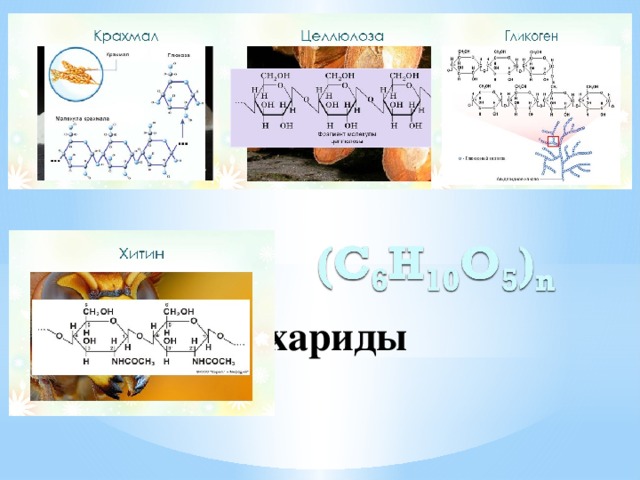Полисахариды 