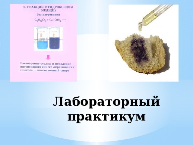 Лабораторный практикум 