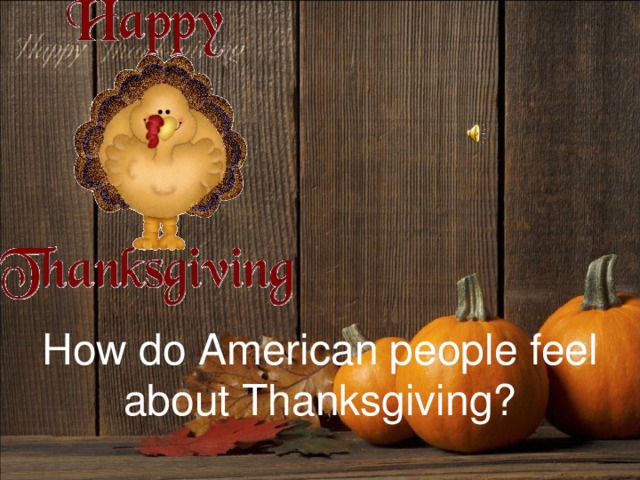 How do American people feel about Thanksgiving? 