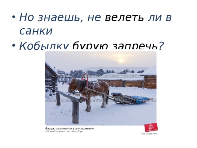 комната в янтарном блеске. не велеть ли в санки кобылку. написать про лошадь. кобылку бурую запрячь пушкин. не велеть ли в санки кобылку.