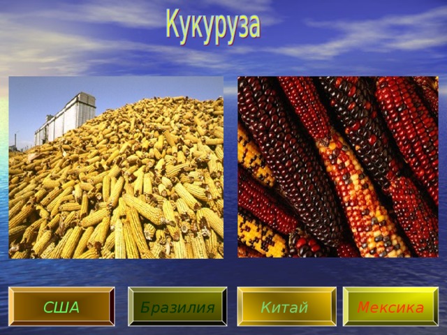 США Бразилия Китай  Мексика 