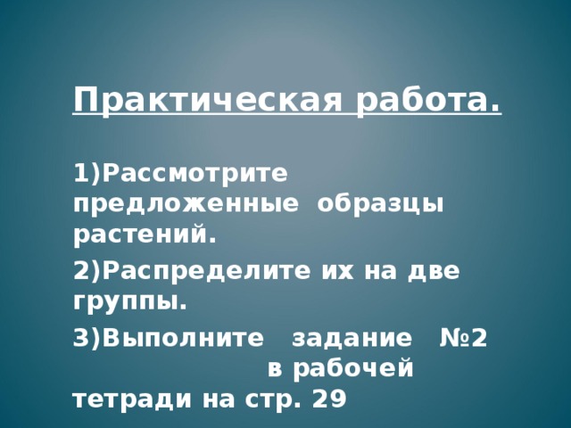 Практическая работа.  Рассмотрите предложенные образцы растений. Распределите их на две группы. Выполните задание №2 в рабочей тетради на стр. 29 