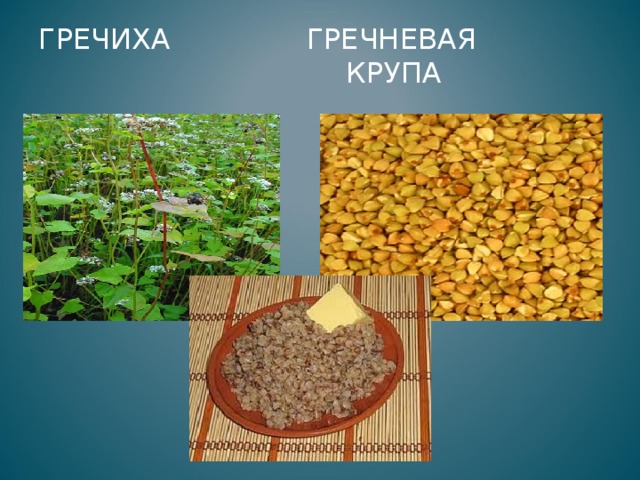 ГРЕЧИХА ГРЕЧНЕВАЯ  КРУПА 