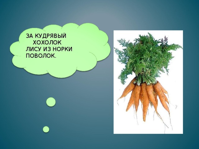 ЗА КУДРЯВЫЙ ХОХОЛОК ЛИСУ ИЗ НОРКИ ПОВОЛОК.   