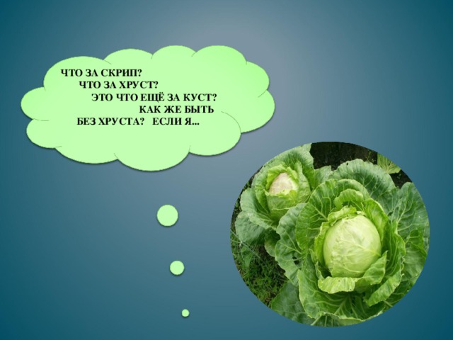 ЧТО ЗА СКРИП?  ЧТО ЗА ХРУСТ?  ЭТО ЧТО ЕЩЁ ЗА КУСТ? КАК ЖЕ БЫТЬ БЕЗ ХРУСТА? ЕСЛИ Я... 