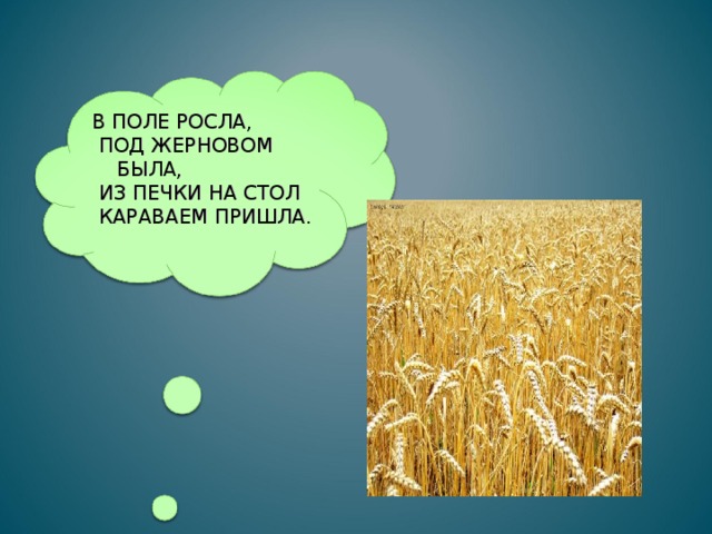 В ПОЛЕ РОСЛА,  ПОД ЖЕРНОВОМ БЫЛА,  ИЗ ПЕЧКИ НА СТОЛ  КАРАВАЕМ ПРИШЛА. 