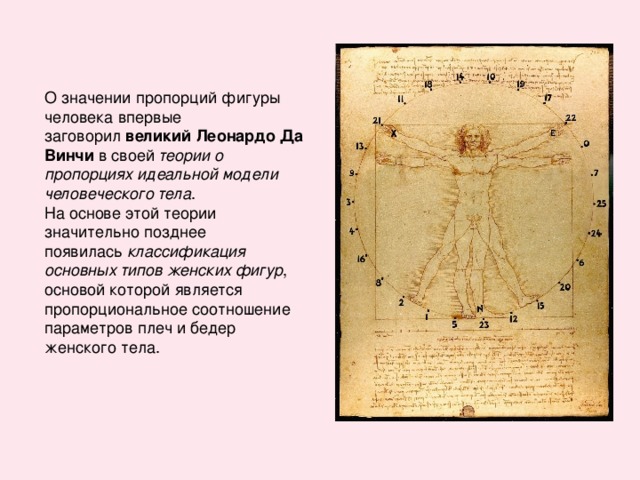 великий Леонардо Да Винчи теории о пропорциях идеальной модели человеческого тела классификация основных типов женских фигур 