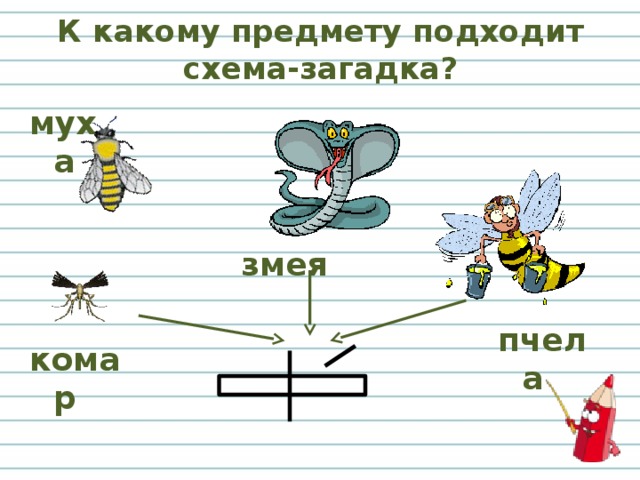 Картинка схема слова муха