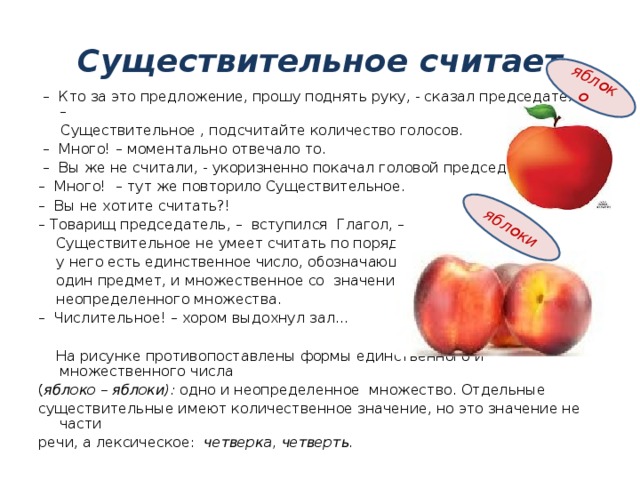 яблоко  яблоки Существительное считает – Кто за это предложение, прошу поднять руку, - сказал председатель. –  Существительное , подсчитайте количество голосов. – Много! – моментально отвечало то. – Вы же не считали, - укоризненно покачал головой председатель. – Много! – тут же повторило Существительное. – Вы не хотите считать?! – Товарищ председатель, – вступился Глагол, –  Существительное не умеет считать по порядку,  у него есть единственное число, обозначающее  один предмет, и множественное со значением  неопределенного множества. – Числительное! – хором выдохнул зал...  На рисунке противопоставлены формы единственного и множественного числа ( яблоко – яблоки): одно и неопределенное множество. Отдельные существительные имеют количественное значение, но это значение не части речи, а лексическое: четверка, четверть.  