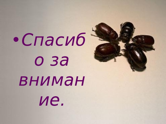 Спасибо за внимание. 