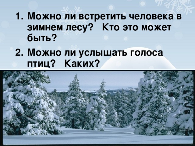 Можно ли встретить человека в зимнем лесу? Кто это может быть? Можно ли услышать голоса птиц? Каких?   