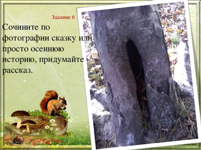 Задание 6 Сочините по фотографии сказку или просто осеннюю историю, придумайте рассказ. 