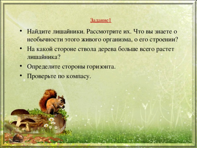 Задание1 Найдите лишайники. Рассмотрите их. Что вы знаете о необычности этого живого организма, о его строении? На какой стороне ствола дерева больше всего растет лишайника? Определите стороны горизонта. Проверьте по компасу. 
