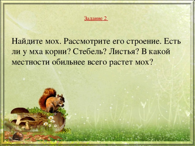 Задание 2 Найдите мох. Рассмотрите его строение. Есть ли у мха корни? Стебель? Листья? В какой местности обильнее всего растет мох? 