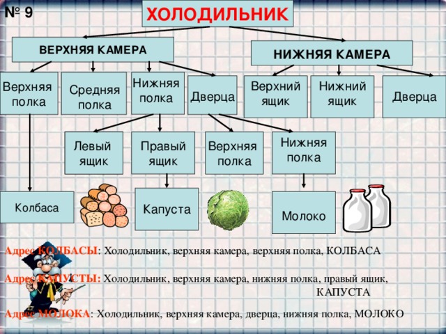ХОЛОДИЛЬНИК № 9 ВЕРХНЯЯ КАМЕРА  НИЖНЯЯ КАМЕРА Нижняя полка Верхняя полка Верхний ящик Нижний ящик Средняя полка Дверца Дверца Верхняя полка Нижняя полка Левый ящик Левый ящик Правый ящик Капуста Молоко Адрес КОЛБАСЫ : Холодильник, верхняя камера, верхняя полка, КОЛБАСА Адрес КАПУСТЫ: Холодильник, верхняя камера, нижняя полка, правый ящик,         КАПУСТА Адрес МОЛОКА : Холодильник, верхняя камера, дверца, нижняя полка, МОЛОКО 