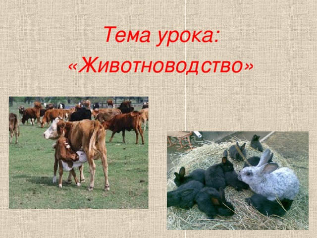 Тест на тему животноводство 3