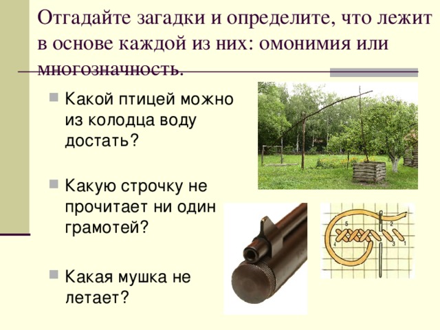 Отгадайте загадки и определите, что лежит в основе каждой из них: омонимия или многозначность. Какой птицей можно из колодца воду достать?   Какую строчку не прочитает ни один грамотей? Какая мушка не летает? 