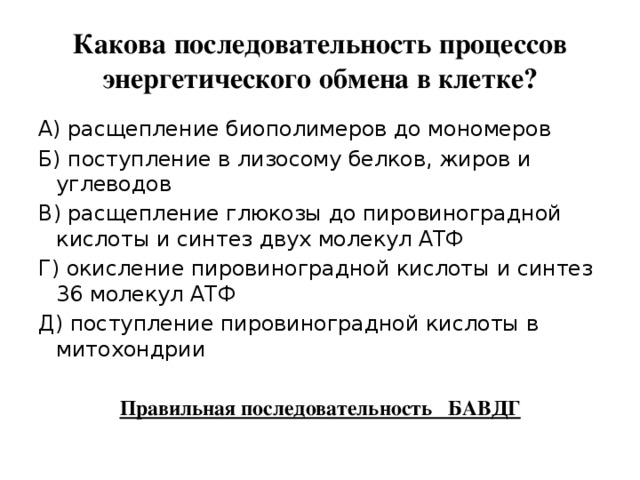 Установите последовательность процессов в ходе энергетического обмена. Признаки обмена этапы энергообмена. Установите последовательность стадий энергетического обмена. Последовательность процессов трансляции. Образование 2 молекул пвк.