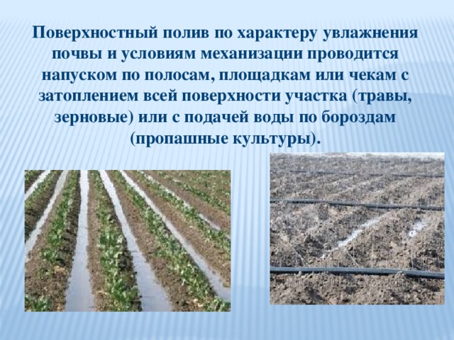 Поверхностный способ. Полив по бороздам по полосам. Поверхностный способ полива. Поверхностный полив по бороздам. Поверхностное орошение.