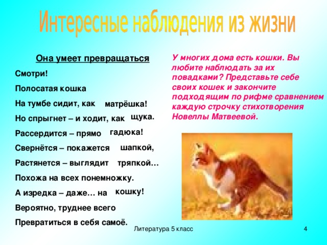 Она умеет превращаться Смотри! Полосатая кошка На тумбе сидит, как Но спрыгнет – и ходит, как Рассердится – прямо Свернётся – покажется Растянется – выглядит Похожа на всех понемножку. А изредка – даже… на Вероятно, труднее всего Превратиться в себя самоё. У многих дома есть кошки. Вы любите наблюдать за их повадками? Представьте себе своих кошек и закончите подходящим по рифме сравнением каждую строчку стихотворения Новеллы Матвеевой. матрёшка! щука. гадюка! шапкой, тряпкой… кошку! Литература 5 класс  