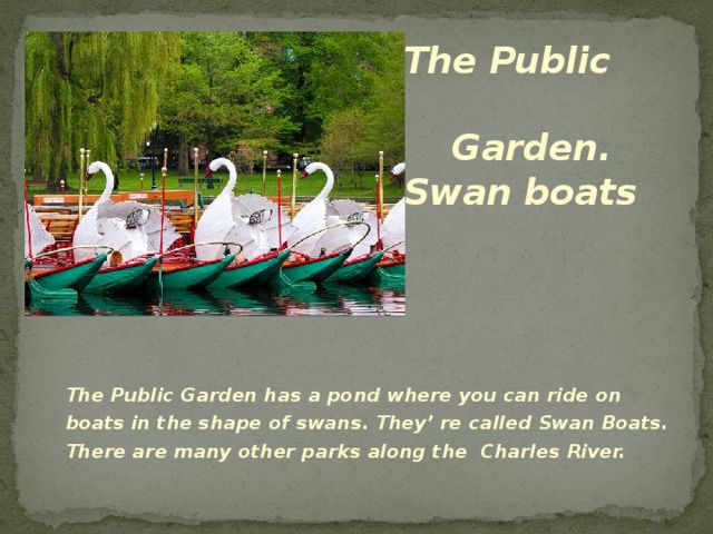 The Public Garden.  Swan boats The Public Garden has a pond where you can ride on boats in the shape of swans. They’ re called Swan Boats. There are many other parks along the Charles River. 