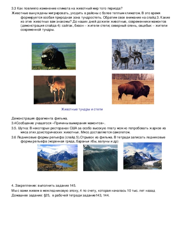 3.3 Как повлияло изменение климата на животный мир того периода? Животные вынуждены мигрировать, уходить в районы с более теплым климатом. В это время формируется особая природная зона тундростепь. Обратим свое внимание на слайд 3. Какие из этих животных вам знакомы? До наших дней дожили животные, современники мамонтов (демонстрация слайда 4): сайгак, бизон – жители степи; северный олень, овцебык – жители современной тундры. Демонстрация фрагмента фильма. 3.4Сообщение учащегося «Причины вымирания мамонтов». 3.5. Шутка: В некоторых ресторанах США за особо высокую плату можно попробовать жаркое из мяса этих доисторических животных. Мясо доставляется самолетом. 3.6 Ледниковые формы рельефа (слайд 5).Отрывок из фильма. В тетради записать ледниковые формы рельефа (моренная гряда, бараньи лбы, валуны и др) 4. Закрепление: выполнить задание 145. Мы с вами живем в межледниковую эпоху, 4 по счету, которая началась 10 тыс. лет назад Домашнее задание: §25, в рабочей тетради задание143, 144. Животные тундры и степи 