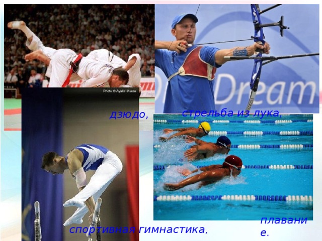 стрельба из лука, дзюдо, плавание. спортивная гимнастика , 