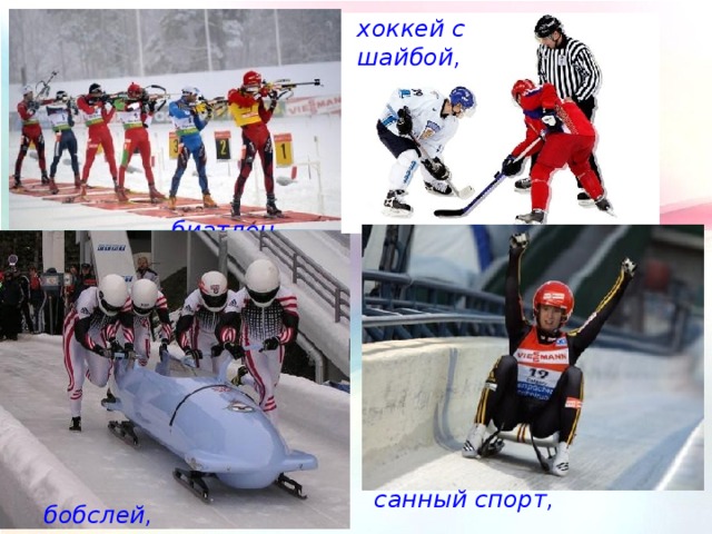 хоккей с шайбой, биатлон, санный спорт, бобслей, 