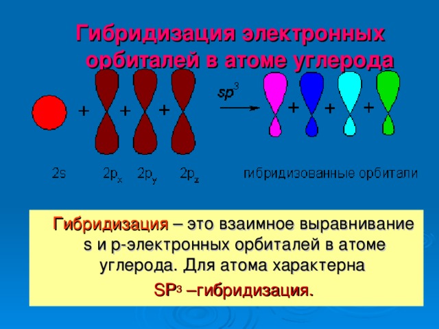  Гибридизация электронных орбиталей в атоме углерода    Гибридизация  – это взаимное выравнивание s и р-электронных орбиталей в атоме углерода. Для атома характерна  SP 3 –гибридизация. 
