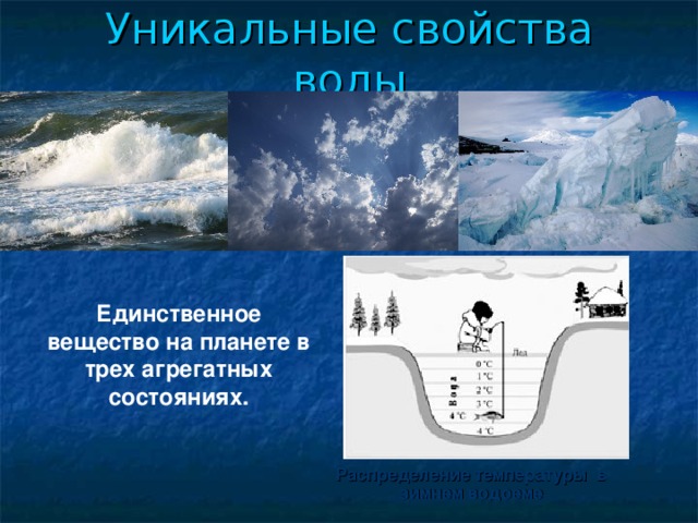 Уникальные свойства воды Единственное вещество на планете в трех агрегатных состояниях. Распределение температуры в зимнем водоеме 