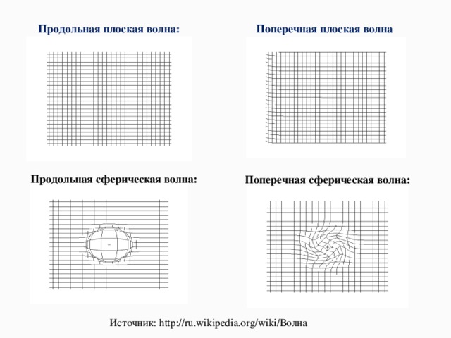 Продольная плоская волна: Поперечная плоская волна Продольная сферическая волна: Поперечная сферическая волна: Источник : http://ru.wikipedia.org/wiki/ Волна 