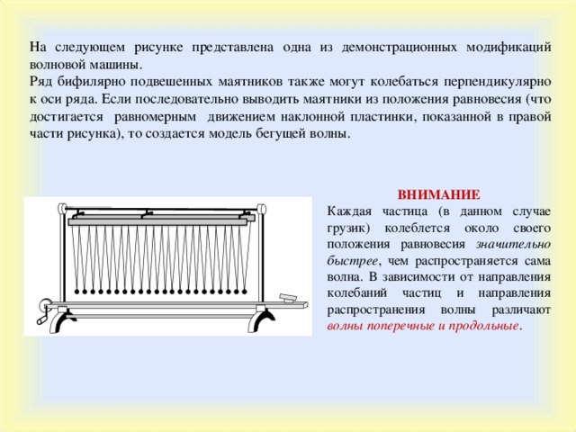 На следующем рисунке представлена одна из демонстрационных модификаций волновой машины. Ряд бифилярно подвешенных маятников также могут колебаться перпендикулярно к оси ряда. Если последовательно выводить маятники из положения равновесия (что достигается равномерным движением наклонной пластинки, показанной в правой части рисунка), то создается модель бегущей волны. ВНИМАНИЕ Каждая частица (в данном случае грузик) колеблется около своего положения равновесия значительно быстрее , чем распространяется сама волна. В зависимости от направления колебаний частиц и направления распространения волны различают волны поперечные и продольные . 