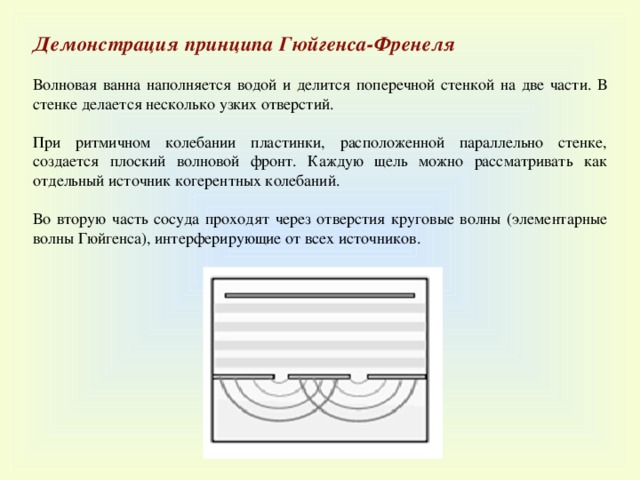 Демонстрация принципа Гюйгенса-Френеля  Волновая ванна наполняется водой и делится поперечной стенкой на две части. В стенке делается несколько узких отверстий. При ритмичном колебании пластинки, расположенной параллельно стенке, создается плоский волновой фронт. Каждую щель можно рассматривать как отдельный источник когерентных колебаний. Во вторую часть сосуда проходят через отверстия круговые волны (элементарные волны Гюйгенса), интерферирующие от всех источников. 