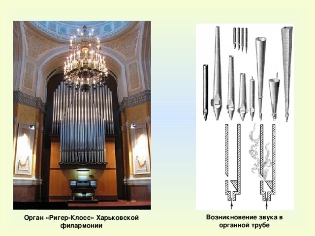 Возникновение звука в органной трубе Орган «Ригер-Клосс» Харьковской филармонии 