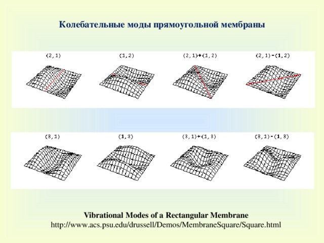 Колебательные моды прямоугольной мембраны Vibrational Modes of a Rectangular Membrane http://www.acs.psu.edu/drussell/Demos/MembraneSquare/Square.html 