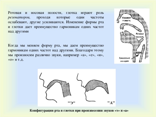 Ротовая и носовая полости , глотк а играют роль резонаторов , проходя которые одни частоты ослабевают, другие усиливаются . Изменение формы рта и глотки дает преимущество гармоникам одних частот над другими Когда мы меняем форму рта, мы даем преимущество гармоникам одних частот над другими. Благодаря этому мы произносим различно звуки, например «а», «е», «и», «о» и т.д. Конфигурации рта и глотки при произнесении звуков « э» и « а» 