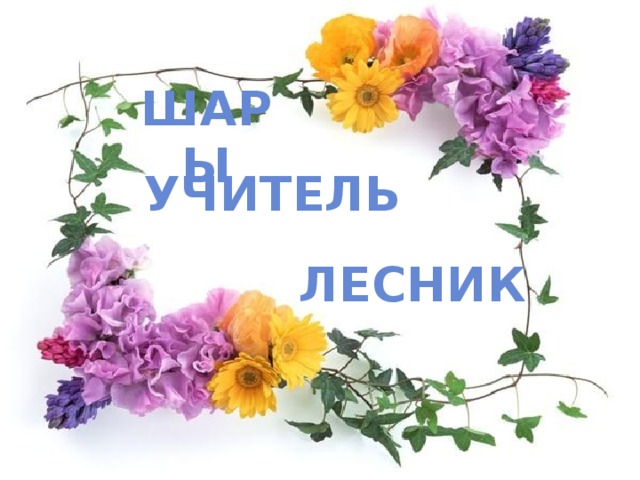 ШАРЫ УЧИТЕЛЬ ЛЕСНИК 