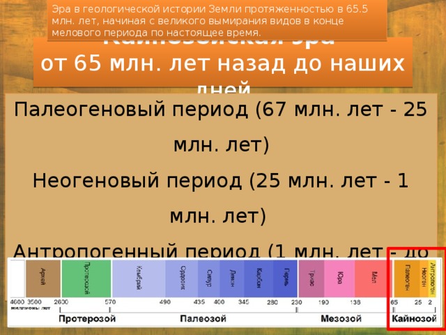 Палеозойская эра Ордовик (488 млн – 443 млн)  Повышение уровня моря, вызванное таянием древних кембрийских ледниковых покровов. Процветал животный мир мелководья и прибрежных рифов.  Растения были представлены главным образом водорослями.  Ордовикско-силурское вымирание – из-за всеобщего похолодания и понижения уровня моря исчезло более 60 % морских беспозвоночных. Последовавшее потепление климата привело к возникновению новых форм животных. 