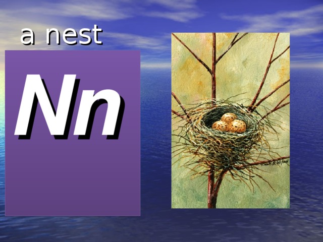 a nest Nn 