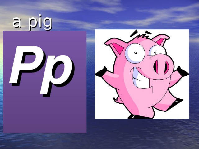 a pig Pp 