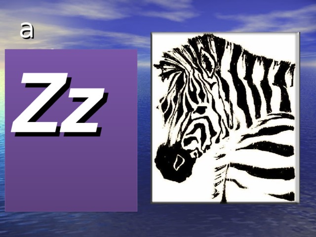 a zebra Zz 