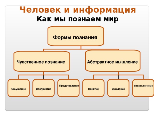 Какая из этих групп процессов составляет абстрактное мышление как одну из стадий в схеме познания