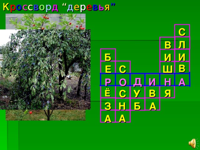 К р о с с в о р д “ д е р е в ь я ”  С Л В Б И И В С Ш Е Д И А Н Р О Я В С У Ё А Б Н З А А 