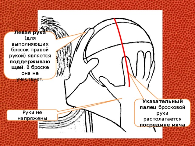 Левая рука (для выполняющих бросок правой рукой) является поддерживающей . В броске она не участвует. Указательный палец бросковой руки располагается посредине мяча Руки не напряжены 