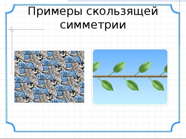 Скользящая симметрия в природе картинки