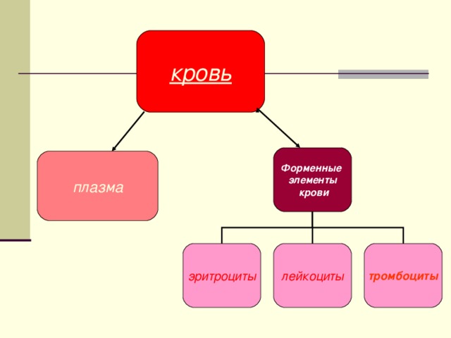 кровь Форменные элементы  крови плазма эритроциты лейкоциты тромбоциты 