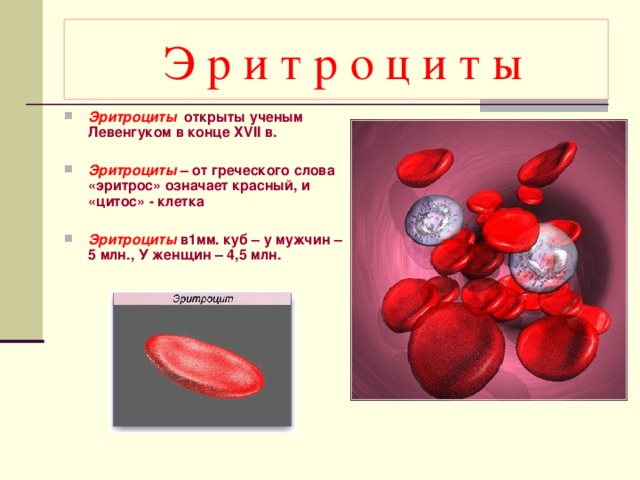 Посмотрите на изображение эритроцитов в разной среде