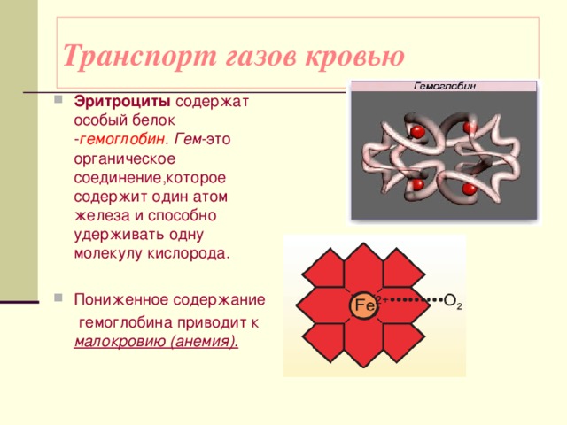 Транспорт газов кровью Эритроциты содержат особый белок - гемоглобин .  Гем -это органическое соединение,которое содержит один атом железа и способно удерживать одну молекулу кислорода.  Пониженное содержание  гемоглобина приводит к малокровию (анемия).  