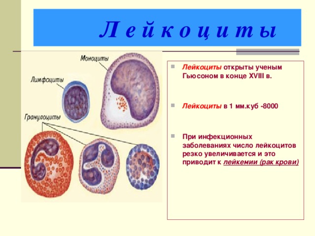 Появление в периферической крови бластов на фоне нормальной лейкоформулы характерно для